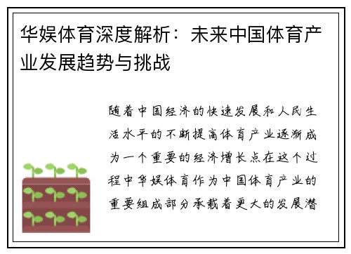 华娱体育深度解析：未来中国体育产业发展趋势与挑战